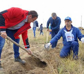 Михаил Сапыркин принял участие общероссийской акции «Сохраним лес» в Усть-Донецком районе