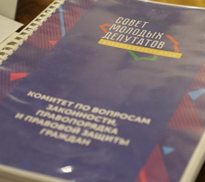 Парламентарии Кубани обсудили  деятельность комитетов СМД в 2021 году