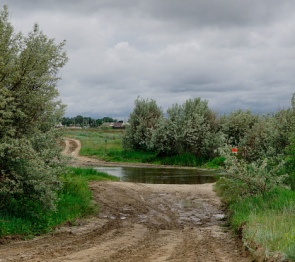 Власти и жители Волгоградской области обсуждают меры по сохранению реки Тишанка