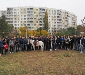 В парке «Дружба» появилось 262 новых дерева