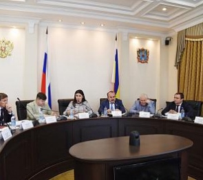 Состояние системы дополнительного образования обсудили в донском парламенте