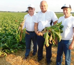 Депутаты Кубани ознакомились с последними достижениями отечественной селекции масличных культур и сахарной свеклы