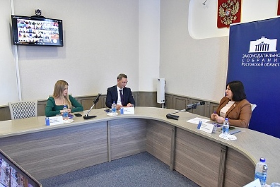 Донской парламент представил отчет о реализации молодежной политики и воспитанию молодого поколения России