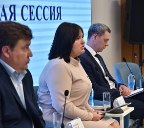 Донские депутаты обсудили проблемы и перспективы развития для работающей молодежи Ростовской области