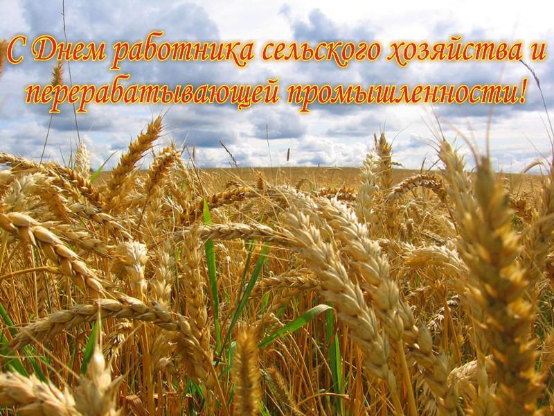 Приветствие Председателя Парламента РСО-Алания Алексея Мачнева с Днем работников сельского хозяйства и перерабатывающей промышленности