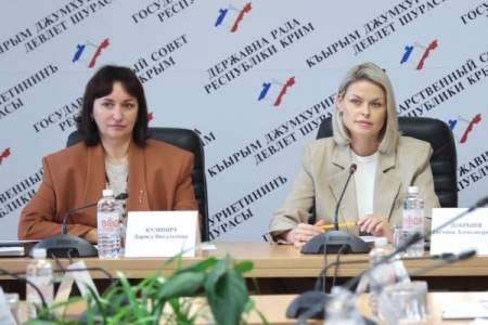 Депутаты Крыма поддержали изменения в земельное законодательство и передачу имущества