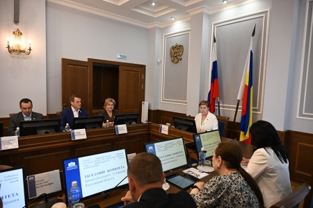 Профильный комитет донского парламента одобрил День работников опеки и поправки по доступной среде