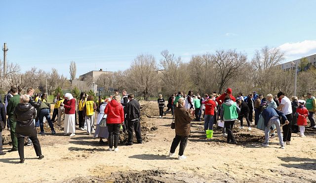 Депутаты Волгоградской областной Думы заложили сад из 100 яблонь в Дзержинском районе