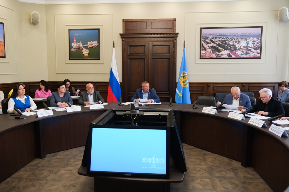 В астраханской Думе предложили защитить семьи от сиротства и наказывать за подкормку бездомных животных
