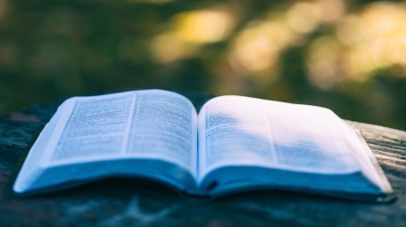 Учреждениям культуры  можно сдавать на льготных условиях свободные площади для книготорговых организаций